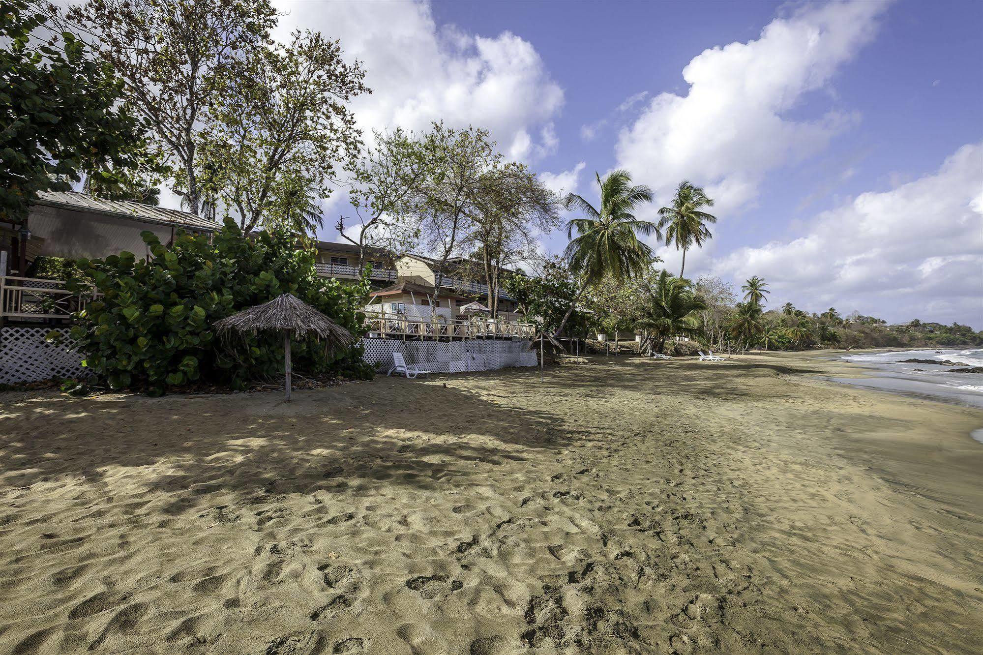 Grafton Beach Resort Black Rock Eksteriør billede